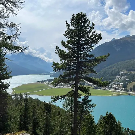 Chesa Munteratsch 2-zimmerwohnung 404 Typ E 실파플라나