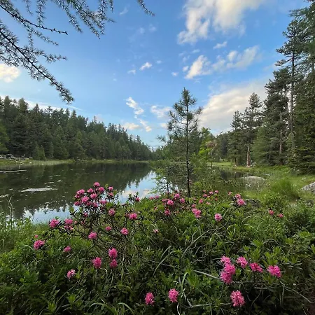 Chesa Munteratsch 2-zimmerwohnung 404 Typ E 아파트 *