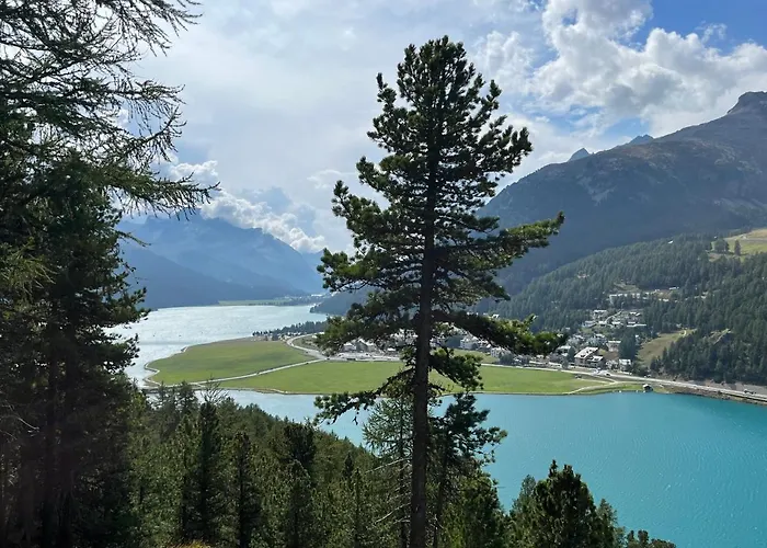 Chesa Munteratsch 2-zimmerwohnung 404 Typ E Silvaplana