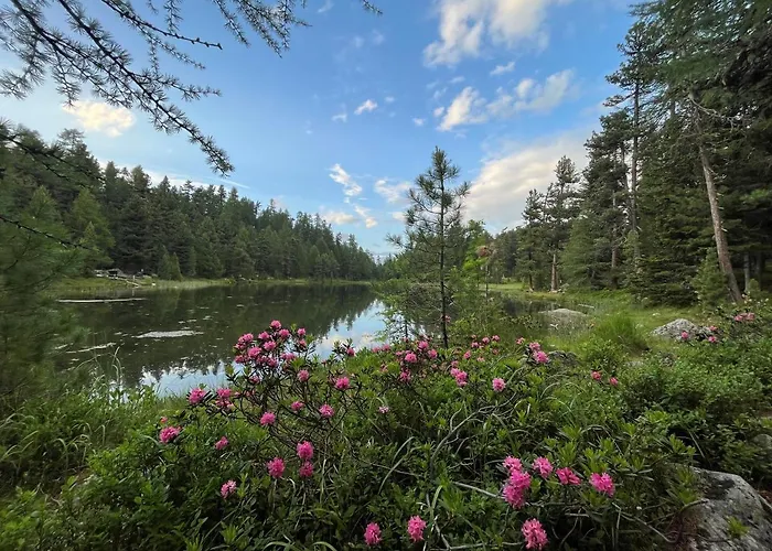 Chesa Munteratsch 2-zimmerwohnung 404 Typ E Apartman *