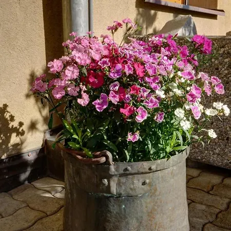 Chesa Munteratsch 2-zimmerwohnung 404 Typ E *